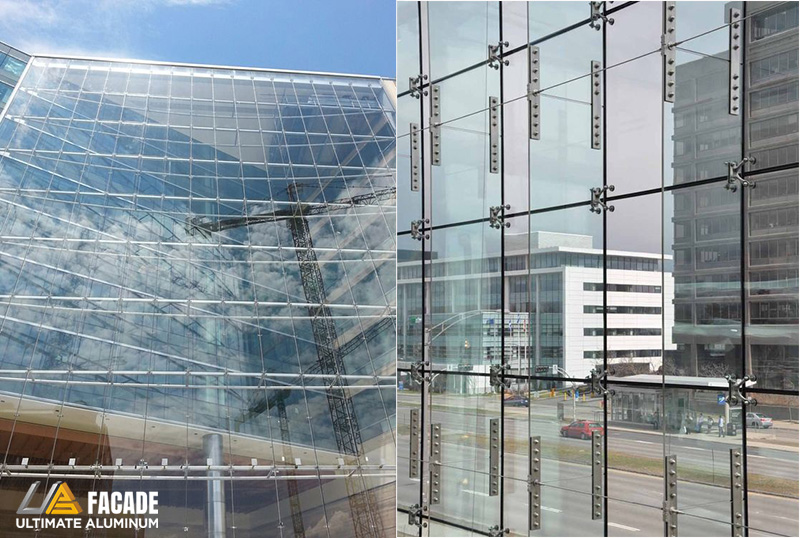 he-mat-dung-spider-2