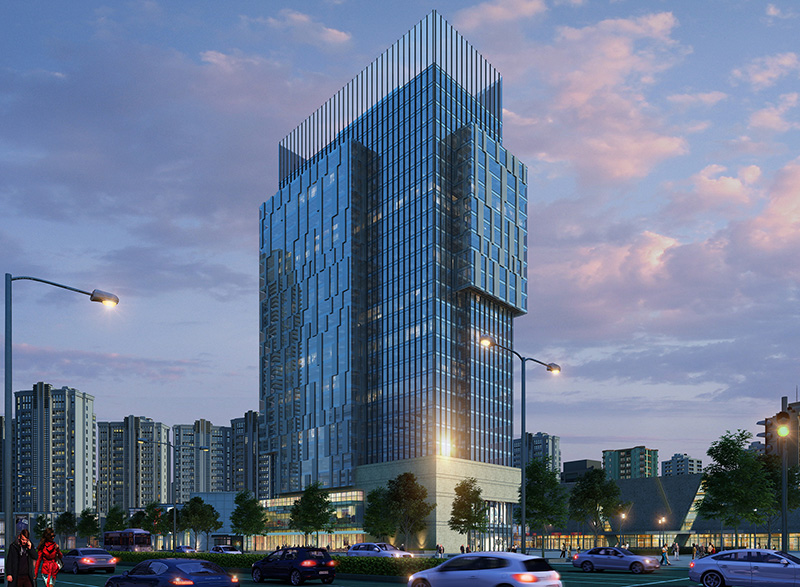 he-mat-dung-spider-4